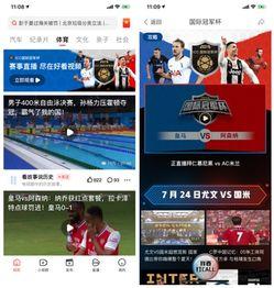 娱乐传媒直播平台,娱乐传媒平台的崛起与变革