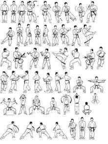 刚柔流资料,探寻武术中的阴阳平衡之道